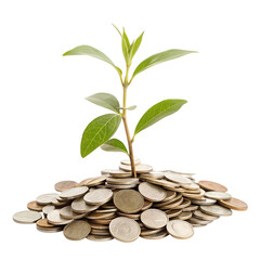 Financial Growth Plant Sprouting from Coins
