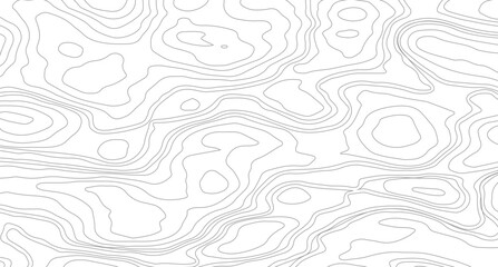 Topography background. Vector banner. Topography background. Abstract topographic contours map background.