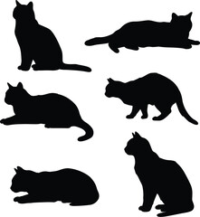 Collection of Cat Silhouettes in Various Poses on Transparent Background