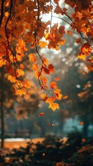 Autumnal leaves in a park