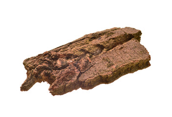 tree bark isolated on white background