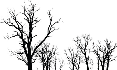 Silhouette of Bare Trees on Transparent Background