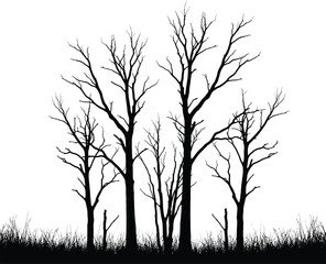 Silhouette of Dead Trees on Grass on transparent background