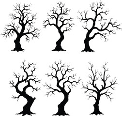 Set of Six Bare Tree Silhouettes on transparent background