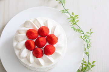 ケーキ・スタジオ撮影