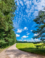 Summer day at countryside. Gravel road among pine forests, happy and healthy vacation in ecological clean areas of Eastern  Europe, concept of eco-tourism