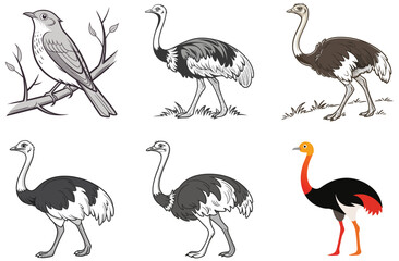Vector silhouette illustration of a set of birds including flamingos, herons, and cranes in black with pink accents