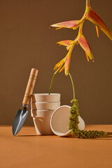 Earth-tone background with stacked ceramic shapes, moss, and a single bird of paradise flower for elegant, organic product styling. Front view