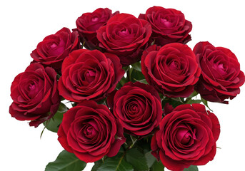 Obraz premium Red rose flowers bouquet isolated on transparent background