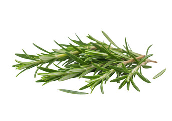 Fototapeta premium Fresh rosemary herb isolated on transparent background