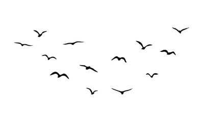 Bird flock silhouette vector ...