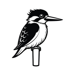 Elegant line art illustration of a belted kingfisher bird perched on a wooden post against a clean white background