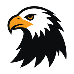 Fototapeta premium Eagle White Background