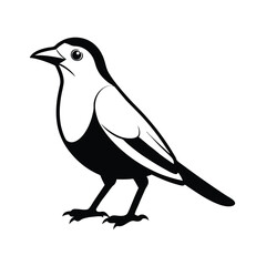 Line art illustration of a brown headed cowbird standing on the ground for advertisement banners