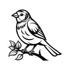 Charming line art illustration of a vibrant canary bird perched gracefully on a delicate flower branch