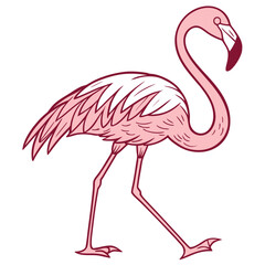 Fototapeta premium Flamingo White Background
