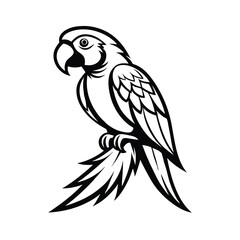 Vibrant and intricately detailed colorful macaw perched gracefully with exquisite feather textures