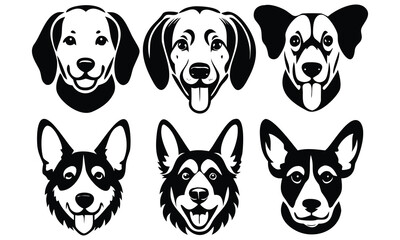 Three cute puppies and their parents are sitting together on a white background