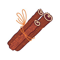 Cinnamon sticks bundled together, vector icon. Aromatic spice for culinary, food packaging, recipe, autumn and holiday designs. Hand drawn clipart isolated on white. Aromatic plant tied with a string