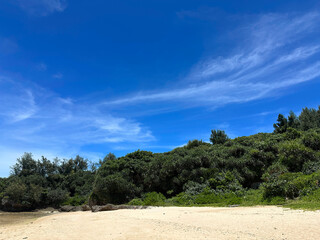 Fototapeta premium Tropical Beach with Lush Green Hills and Clear Blue Sky