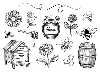 Hand drawn sketch elements of bees honeycomb and flowers for beekeeping theme