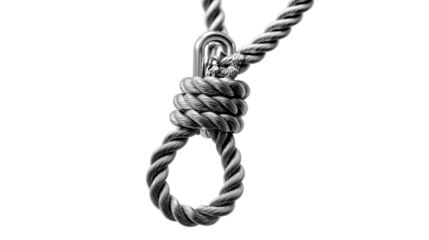 Knot of Despair: A stark, monochromatic image of a noose, the coiled rope a symbol of finality and dread, hangs suspended, evoking a sense of ominous tension and the weight of unspoken anxieties.