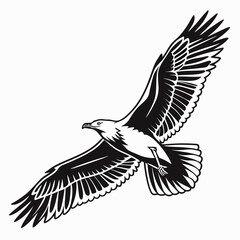 Obraz premium eagle vector illustration