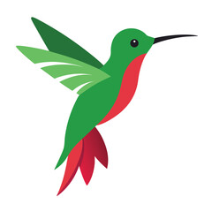 Obraz premium Hummingbird White Background