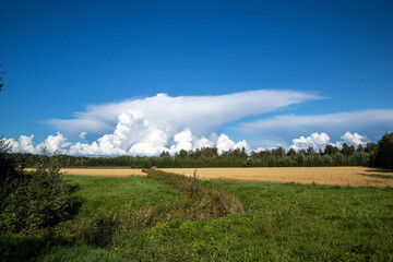Rural scenery with Cumulonimbus cloud in Oulu, Finland