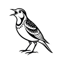 Elegant line art illustration of a eurasian skylark captured mid song on a clean white background