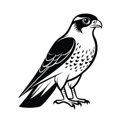 Elegant line art illustration of a eurasian sparrowhawk perched gracefully on a clean white background
