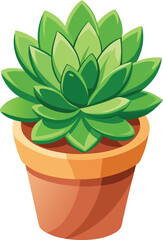Obraz premium Kalanchoe succulent in pot