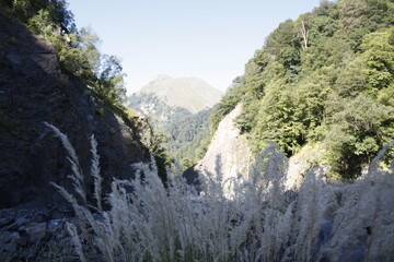 waterfall in the mountains