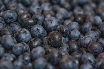 Close-up of a ripe blueberry. Delicious berry, natural edible texture.