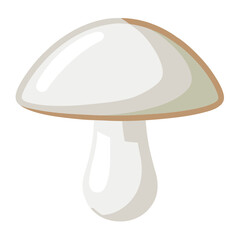 vector illustration of a mushroom isolated