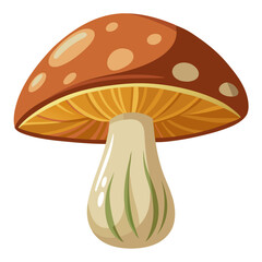 mushroom on white background