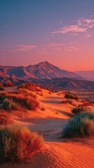 Fototapeta premium Desert landscape at vibrant sunset