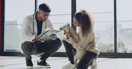 Man, veterinarian or clipboard with dog for animal welfare, petcare or checkup in clinic. Male...
