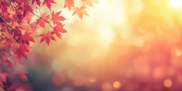 Autumn background with red maple leaves on a blurred leaf sunlight autumn.