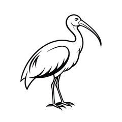 Naklejka premium Elegant ibis bird with distinctive curved beak in a stylized line art design