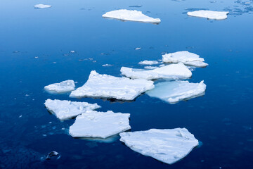 Floating ice floating in the sea © 多田 智