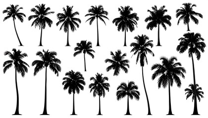 Silhouettes of various palm trees