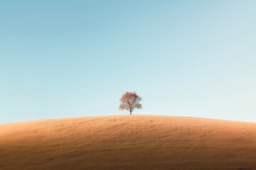 Tree on fall hill sky landscape outdoors.