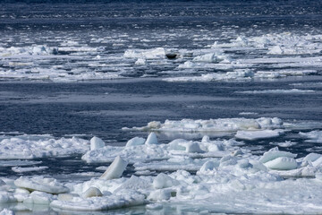 The Sea of Okhotsk, where countless drift ice floats © 多田 智
