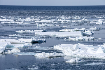 Sea of Okhotsk with drifting ice © 多田 智
