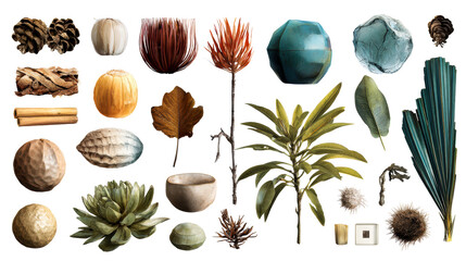 Collection of Natural Organic Textures and Forms, cut out transparent