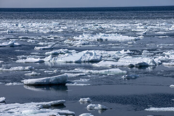 Sea of Okhotsk with drifting ice © 多田 智