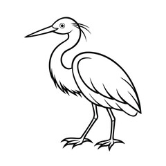 Elegant line art of a little blue heron wading gracefully on a clean white background for advertising