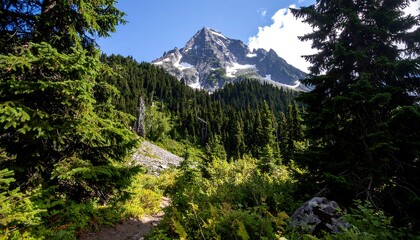 Mountain vista through a lush forest