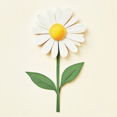Daisy flower craft white paper.